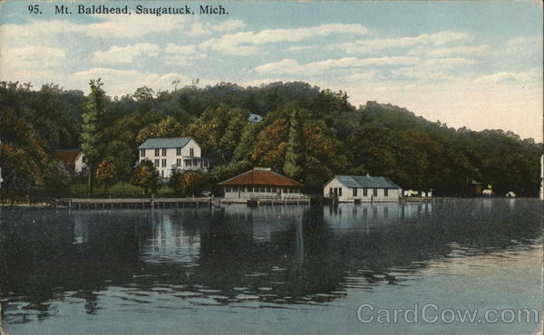 Mt. Baldhead Saugatuck, MI Postcard