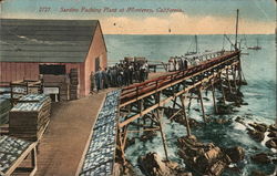 Sardine Packing Plant Postcard