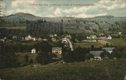 A Bird's Eye View of Callicoon Center, Altitude 2200 Feet New York Postcard Postcard Postcard