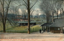 Rear Entrance and Buffalo Range, Bronx Zoo Postcard