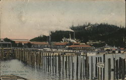 Water Front, Tubbs Hill Postcard