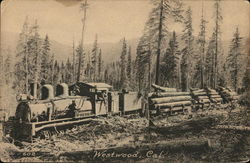 Train Carrying Logs Through Wooded Area Westwood, CA Postcard Postcard Postcard