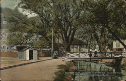 Paxtang Park showing Miniature Locomotive Postcard