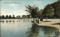 Duck Lake, City Park Postcard