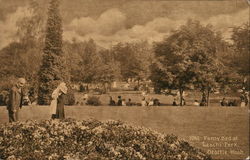 Leschi Park - Pansy Bed Postcard