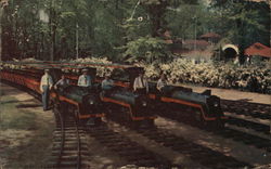 Miniature Trains, House of David Park Benton Harbor, MI Postcard Postcard Postcard