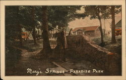 Mary's Springs - Paradise Park Benton Harbor, MI Postcard Postcard Postcard