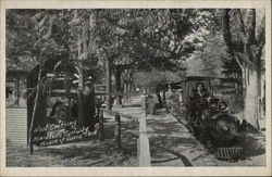 House of David Park - Miniature Railway, West Crossing Benton Harbor, MI Postcard Postcard Postcard