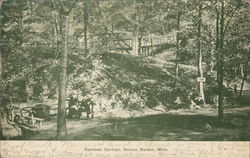 Eastman Springs - Benches, Bridge and Trees Benton Harbor, MI Postcard Postcard Postcard