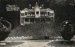 House of David - Eden Springs Zoo, Peacock Benton Harbor, MI Postcard Postcard Postcard