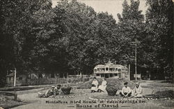 House of David - Eden Springs, Miniature Bird House Postcard