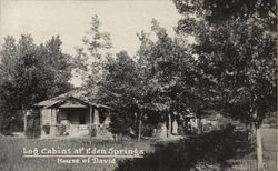 Log Cabins at Eden Springs, House of David Benton Harbor, MI Postcard Postcard Postcard