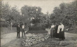 House of David - Eden Springs, Visitors Postcard