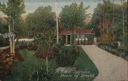 House of David - Eden Springs Postcard