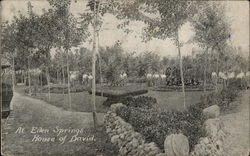 At Eden Springs, House of David Benton Harbor, MI Postcard Postcard Postcard