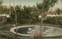 View of Eden Springs Park, House of David Postcard