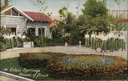 House of David - Eden Springs Benton Harbor, MI Postcard Postcard Postcard