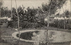 At Eden Springs, People Near Duck Pond Postcard