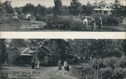 House of David - Eden Springs Cabins Postcard