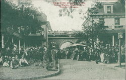 Israelite Colony View Benton Harbor, MI Postcard Postcard Postcard