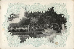 Miniature Trains at Springs, Israelite Colony View Postcard