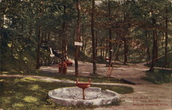 Eastman Springs - In the Glen Benton Harbor, MI Postcard Postcard Postcard