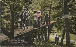 Eastman Springs Park - Suspension Bridge Benton Harbor, MI Postcard Postcard Postcard