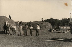 Men Standing in Hayfield with Horses, Truck Farming Postcard Postcard Postcard