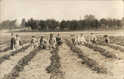 Men Working in a Field Farming Postcard Postcard Postcard