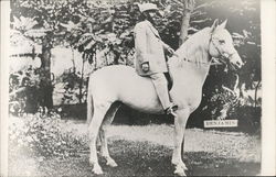 Benjamin Purnell on White horse Benton Harbor, MI House of David Postcard Postcard Postcard