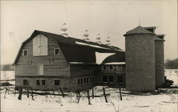 House of David's Dairy Barn (Sears Kit) Benton Harbor, MI Postcard Postcard Postcard