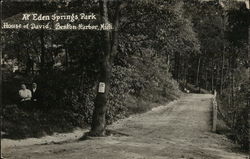 Eden Springs Park Postcard