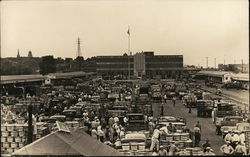 Large Outdoor Marketplace with Trucks and Bushel Baskets Postcard