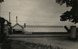 House of David Greenhouse - Visitors Welcome Benton Harbor, MI Postcard Postcard Postcard