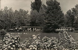 Wide View of Miniature Train Filled with Passengers Benton Harbor, MI Postcard Postcard Postcard