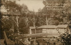 Train on West Bridge House of David Park Benton Harbor, MI Postcard Postcard Postcard