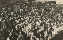 Large Crowd Seated in House of David Park Auditorium Postcard