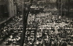 Bird's-Eye View of Crowd - House of David Park Benton Harbor, MI Postcard Postcard Postcard