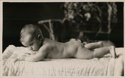 Nude Baby Picture Benton Harbor, MI House of David Postcard Postcard Postcard