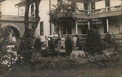 Flower Beds, Israelite Colony Postcard