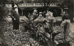 Joseph Hannaford at House of David Amusement Park Benton Harbor, MI Postcard Postcard Postcard