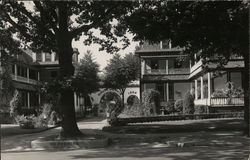 Wide View of Trees, Buildings, "House of David" Archway, 1906 Postcard