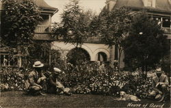 Three Men and a Dog in a Garden Postcard