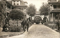 Four Men Standing in a Garden Postcard