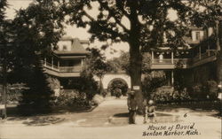 Two Men Near Tall Tree Postcard