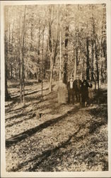 Members Walking in Eden Springs Postcard