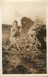 Two People Inspecting Crop in Field Postcard