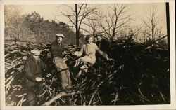 Four People On a Pile of Tree Limbs Benton Harbor, MI House of David Postcard Postcard Postcard