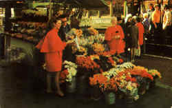 Flower Stand Postcard