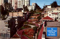 Lombard Street Postcard